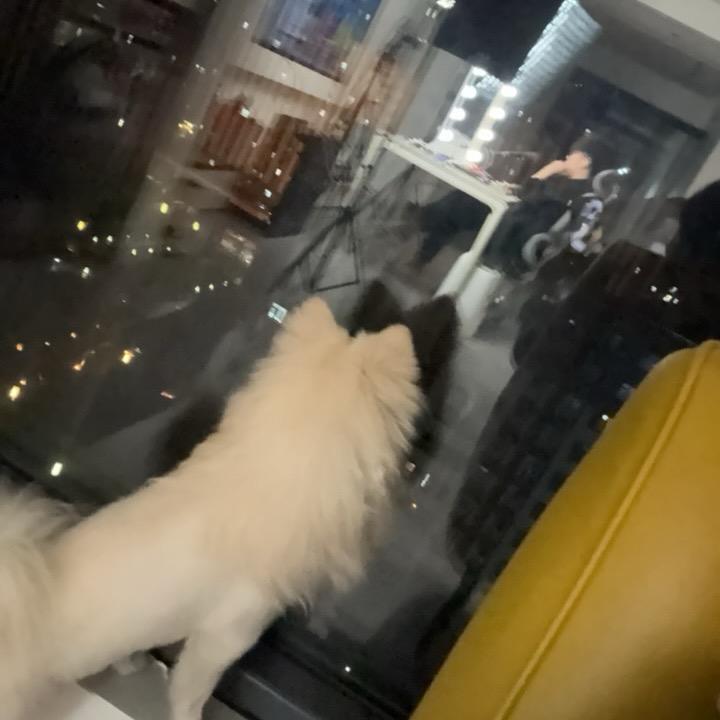 龙二狗