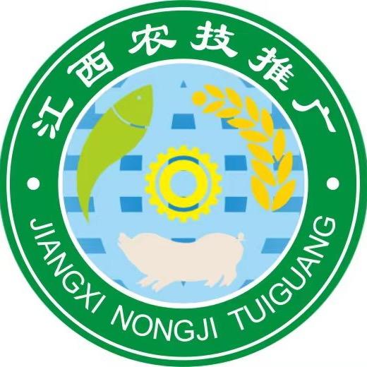 江西种植业