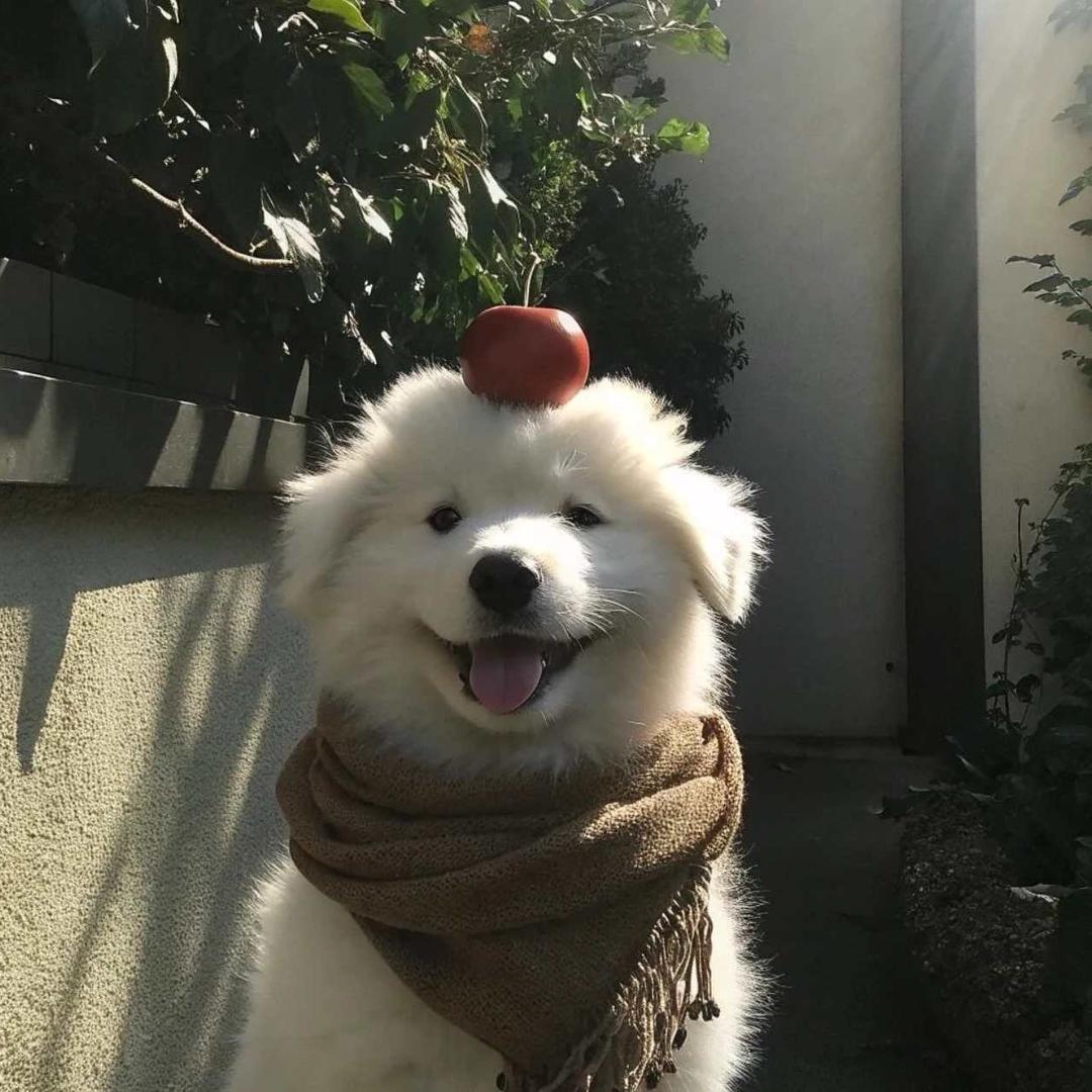 事业脑蛋蛋