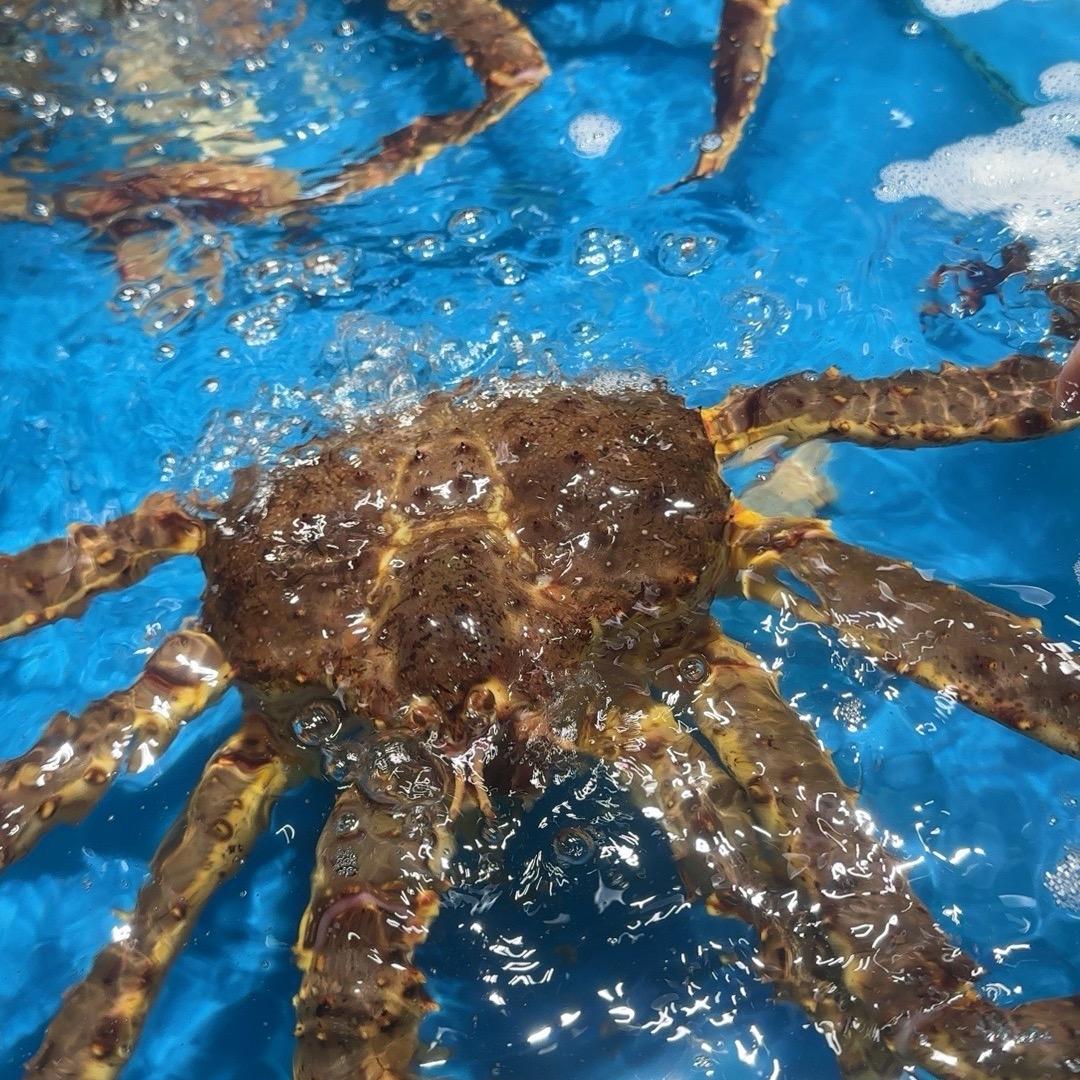 爱财爱己  风生水起