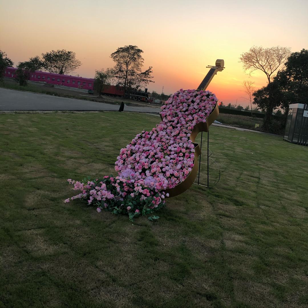 木槿🌸