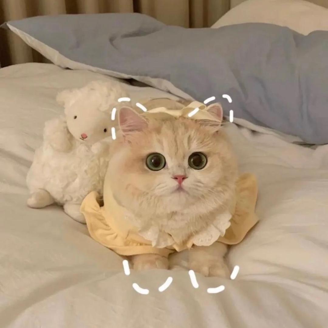 鱼子酱酱酱酱酱