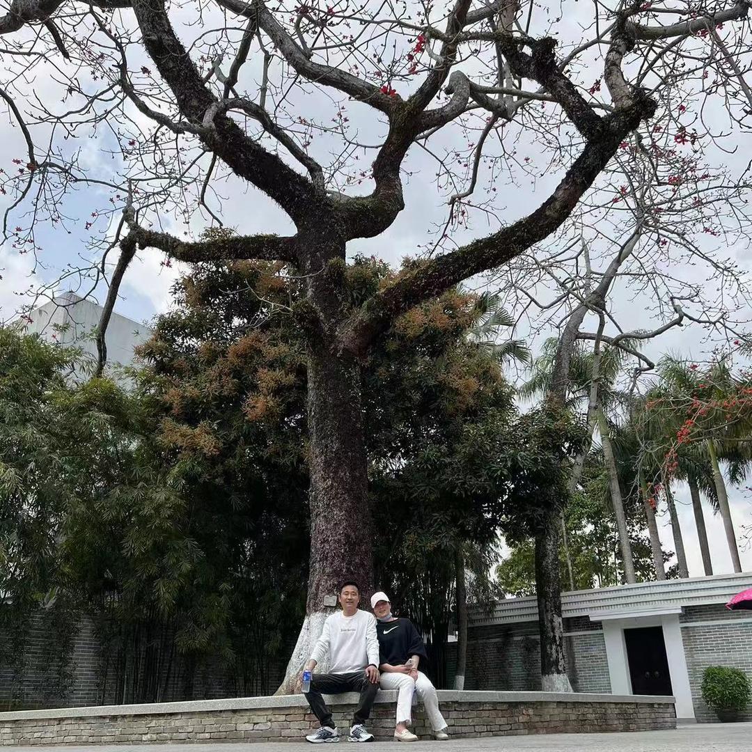 高娟