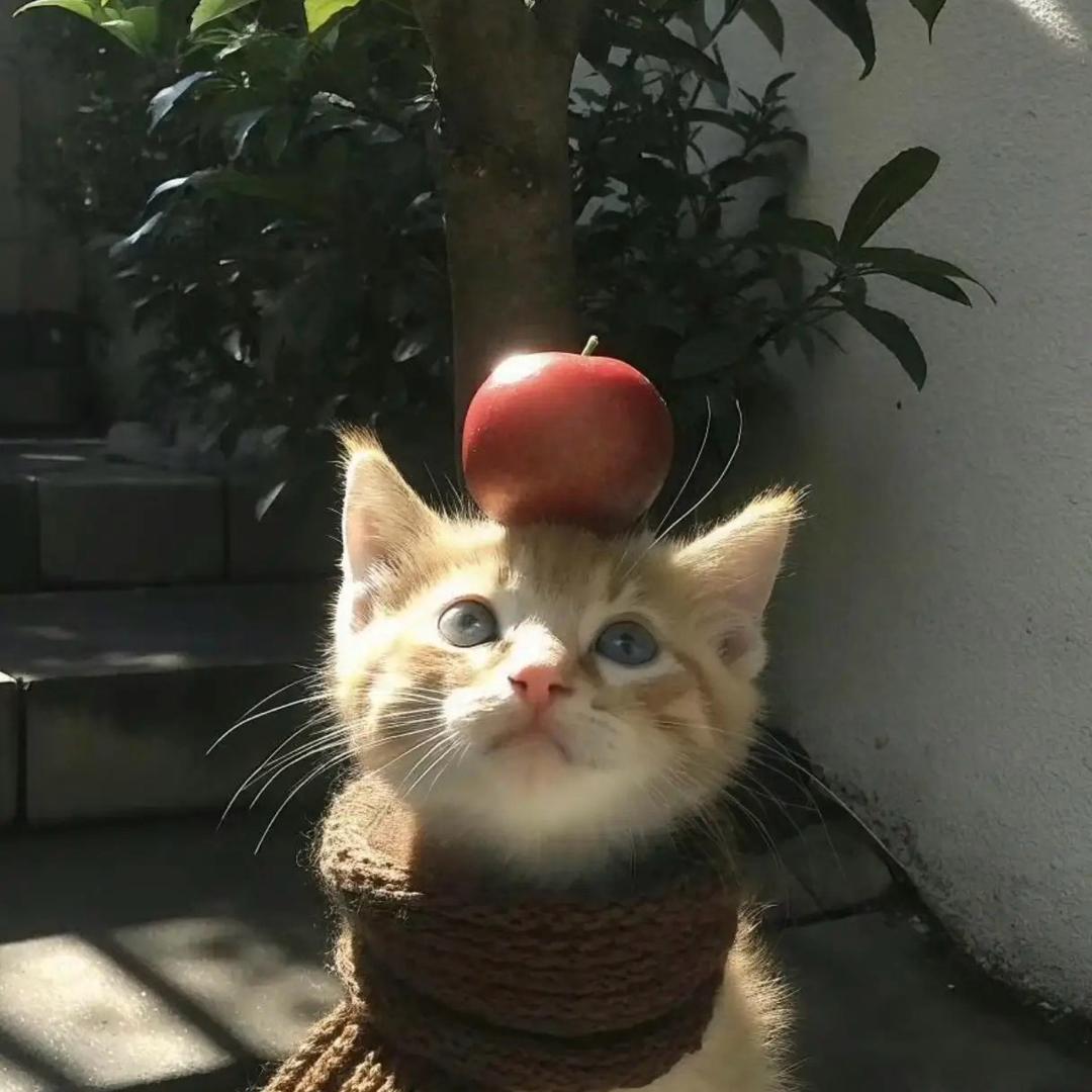 下凡找沙雕