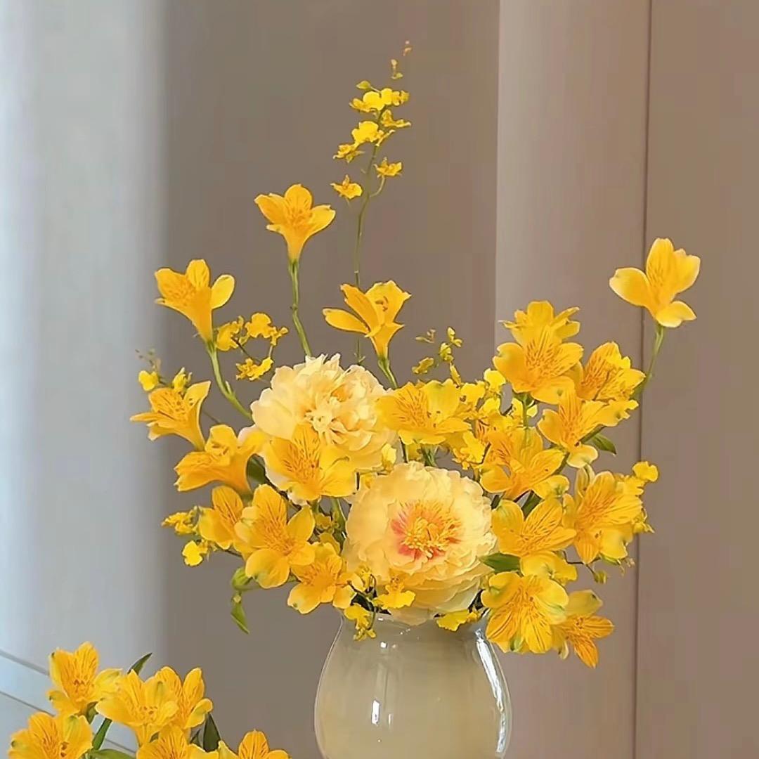 麦豆