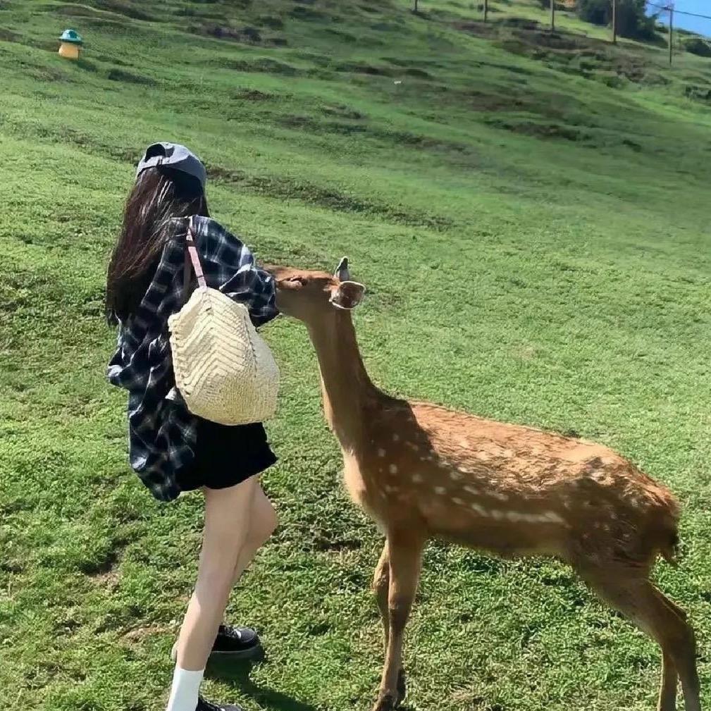慢游时光
