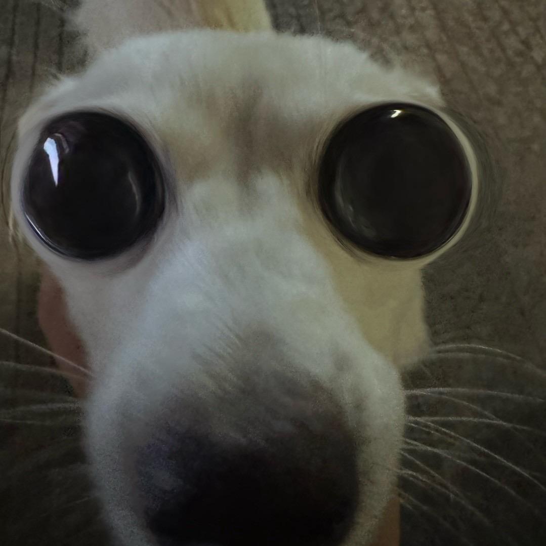 烧鸭面