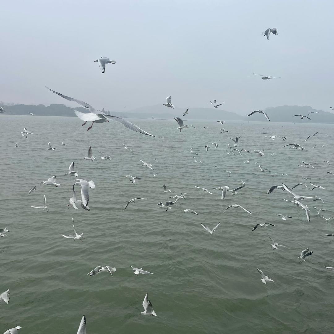 回头太难@