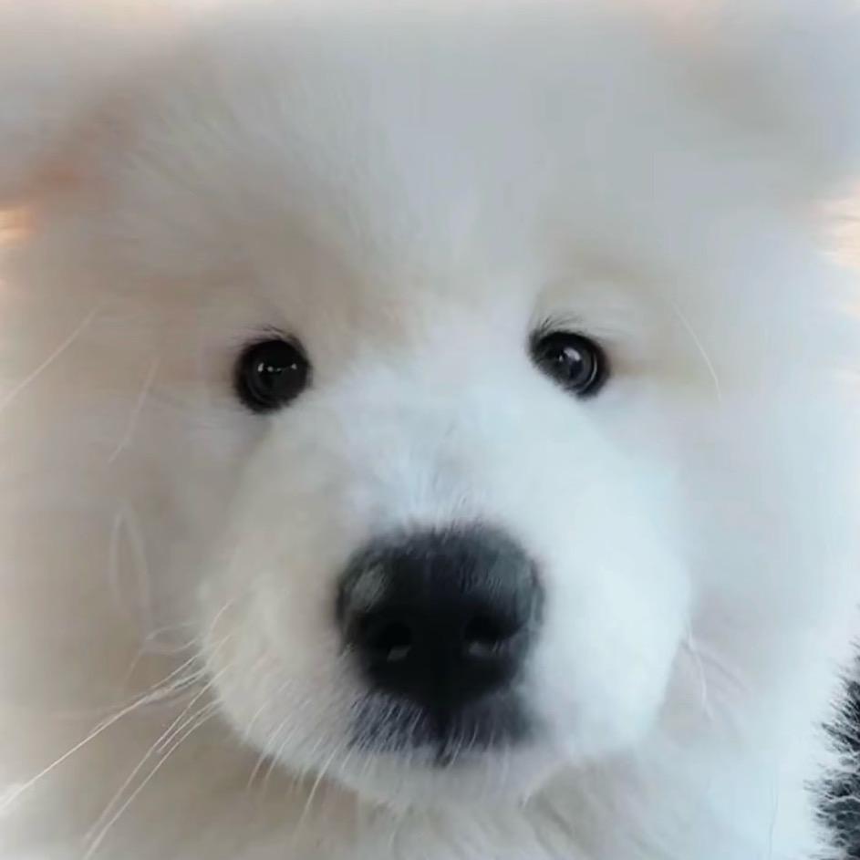 广东最后的单纯