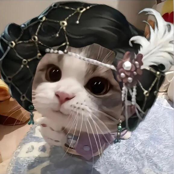 布布糕.