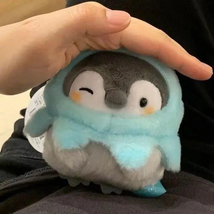阿皮