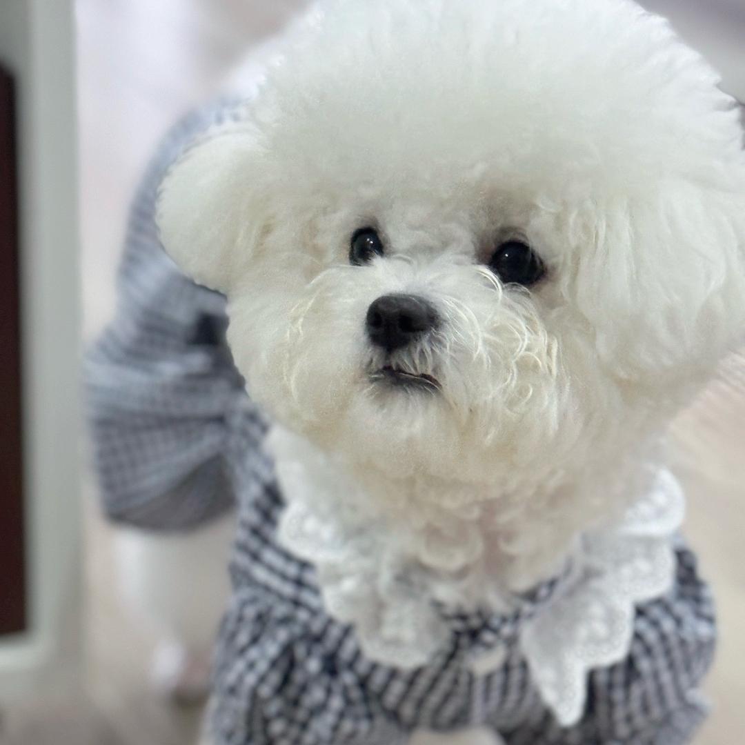 ·₃· o༠° Yaᴗang 🕊