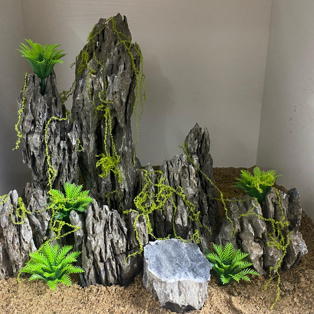 森辉石缘阁