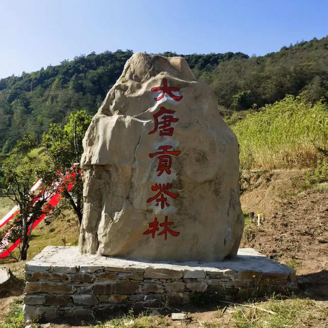 云茶供应链批发管理中心