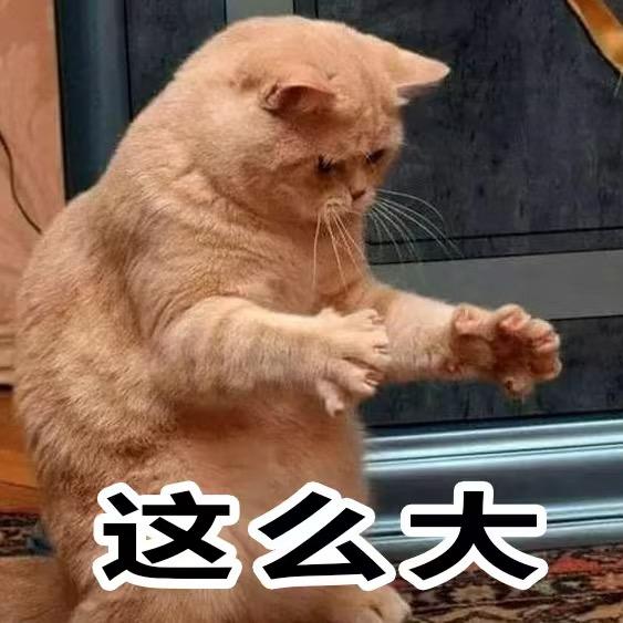 。。。大牛。。。