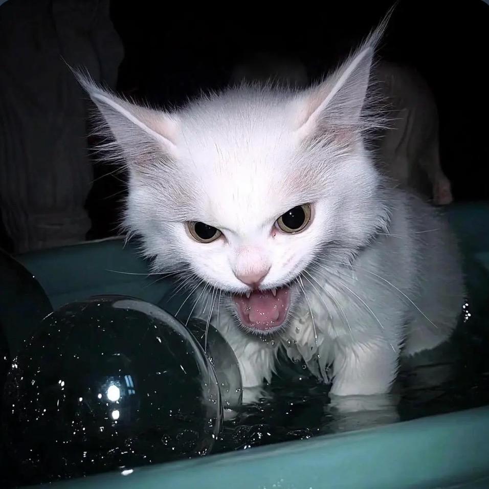 独行