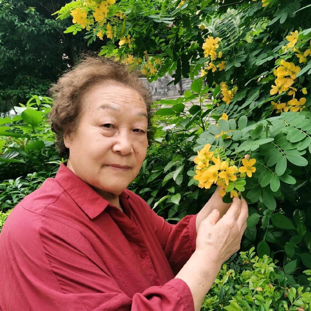 花开富贵每一天