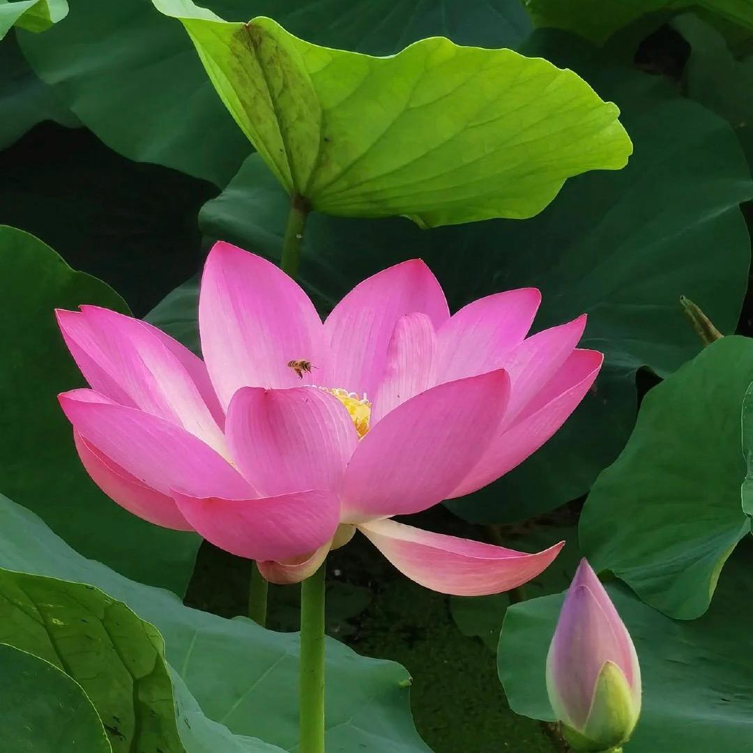 宇清先生（同款好物☞橱窗）
