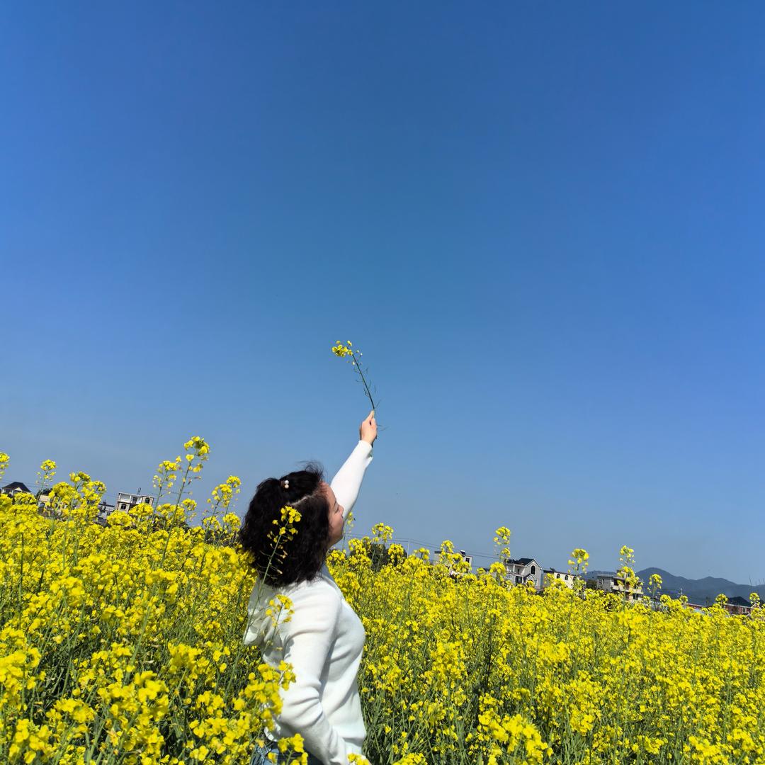 汪