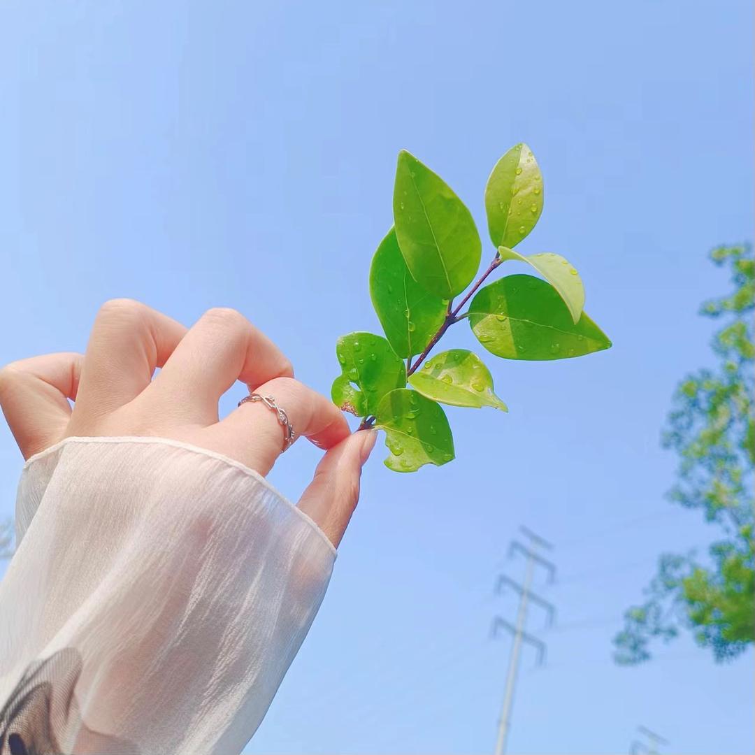 迹迹百货商甄
