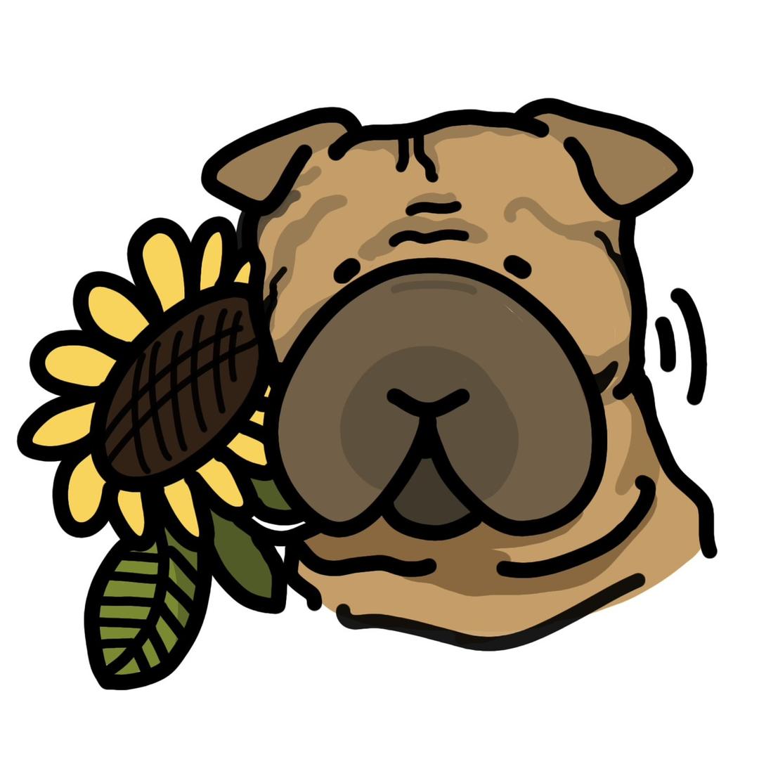 大源是一只沙皮