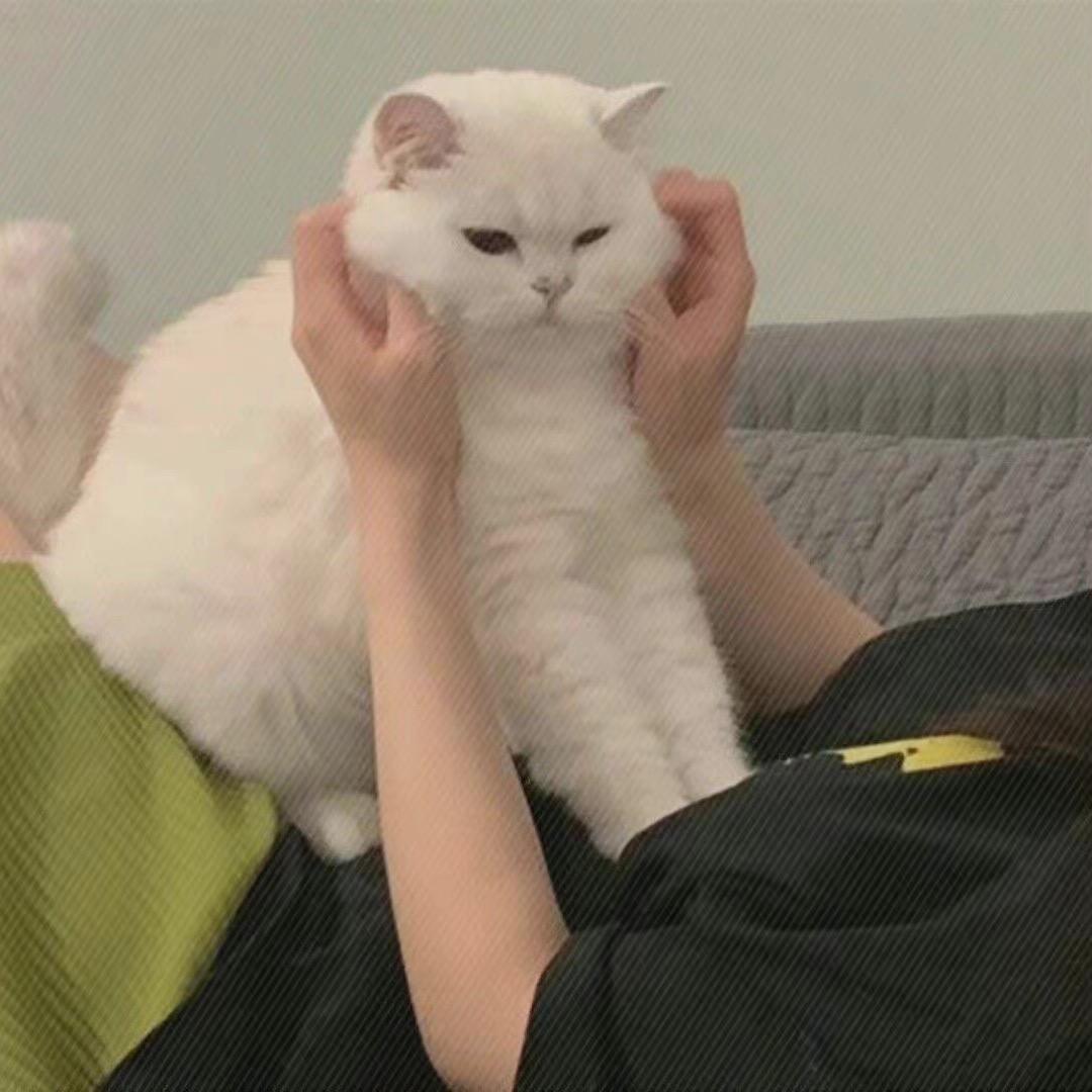 黎明