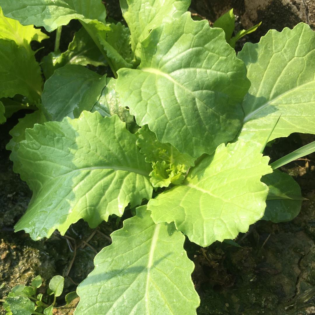 💎🏩💏祖坤💗💘