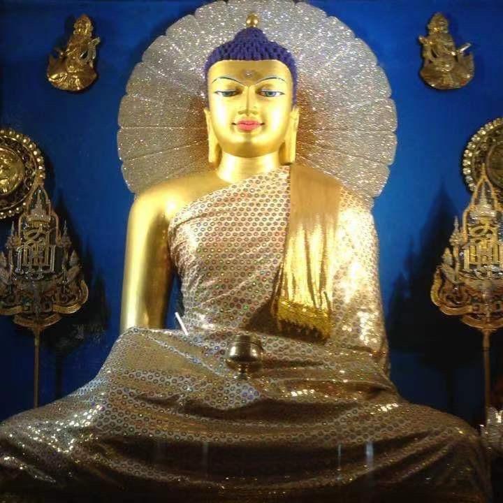 Tenzin dolma
