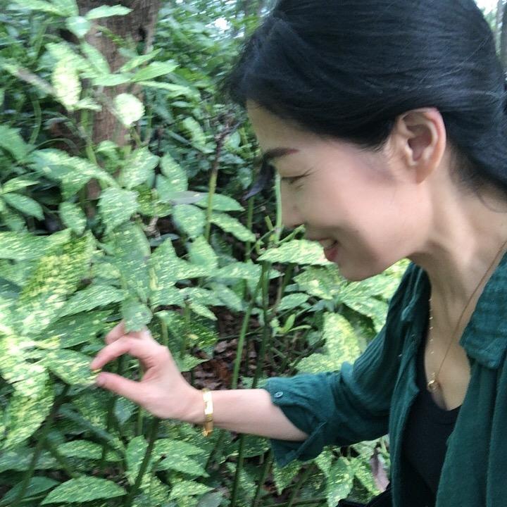 淡然