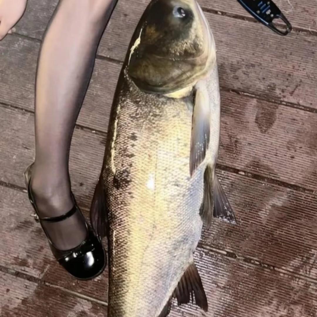 小瑶爱钓鱼