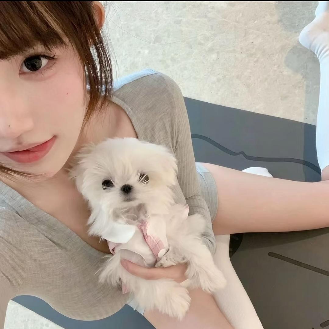 小社长