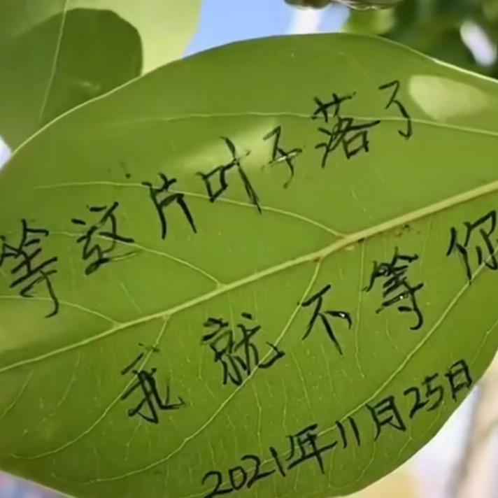 守艺者(草根根)