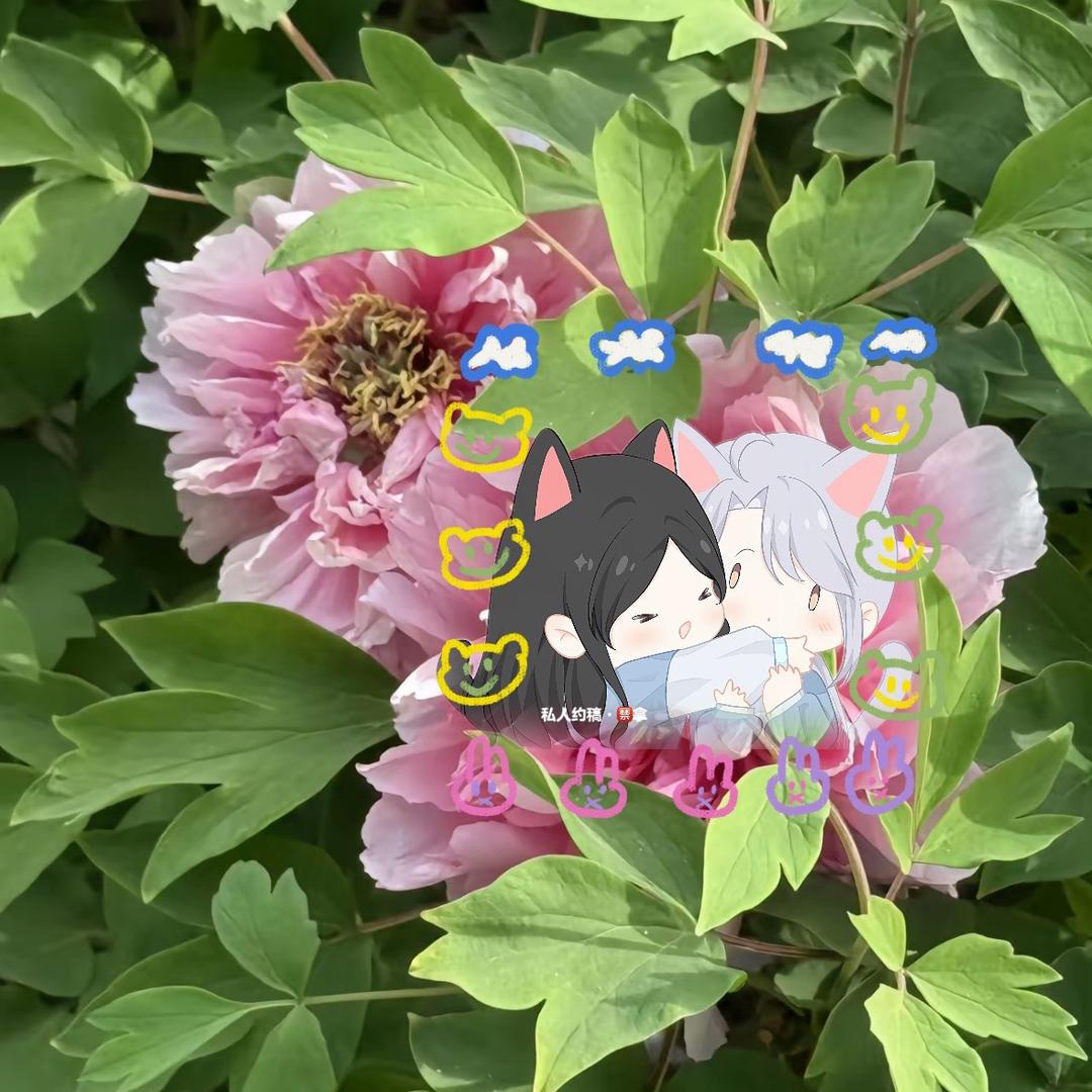 阿旻ᵐ🌾（女孩女孩我是女的！！！）