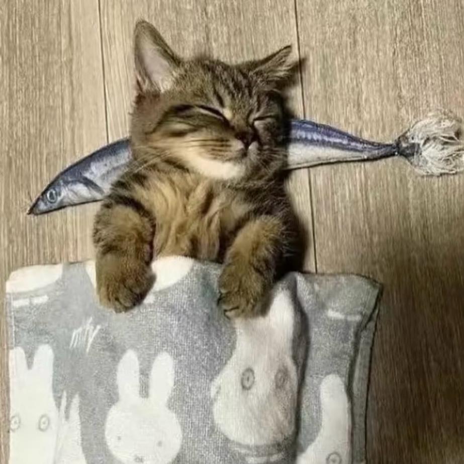 重生之我给多米擦皮鞋