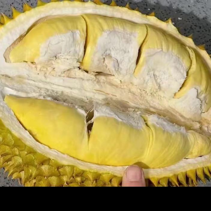 重生我在末世打打台球