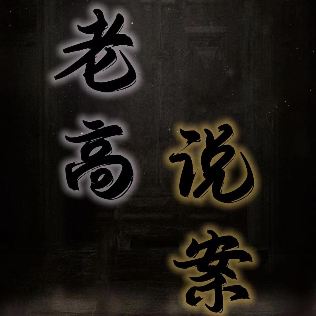 老高说案
