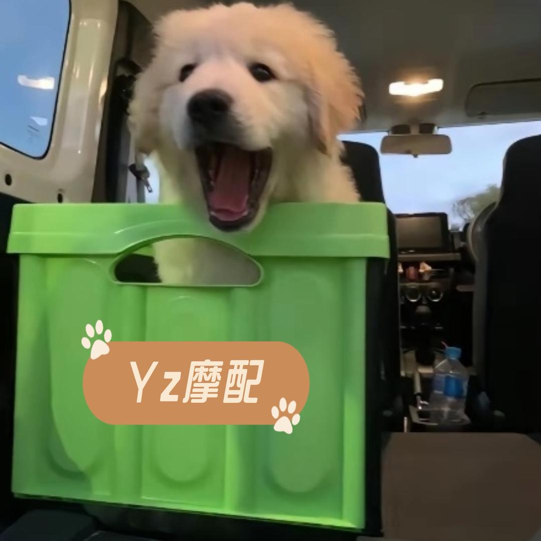 Yz摩配/黑猫锂电