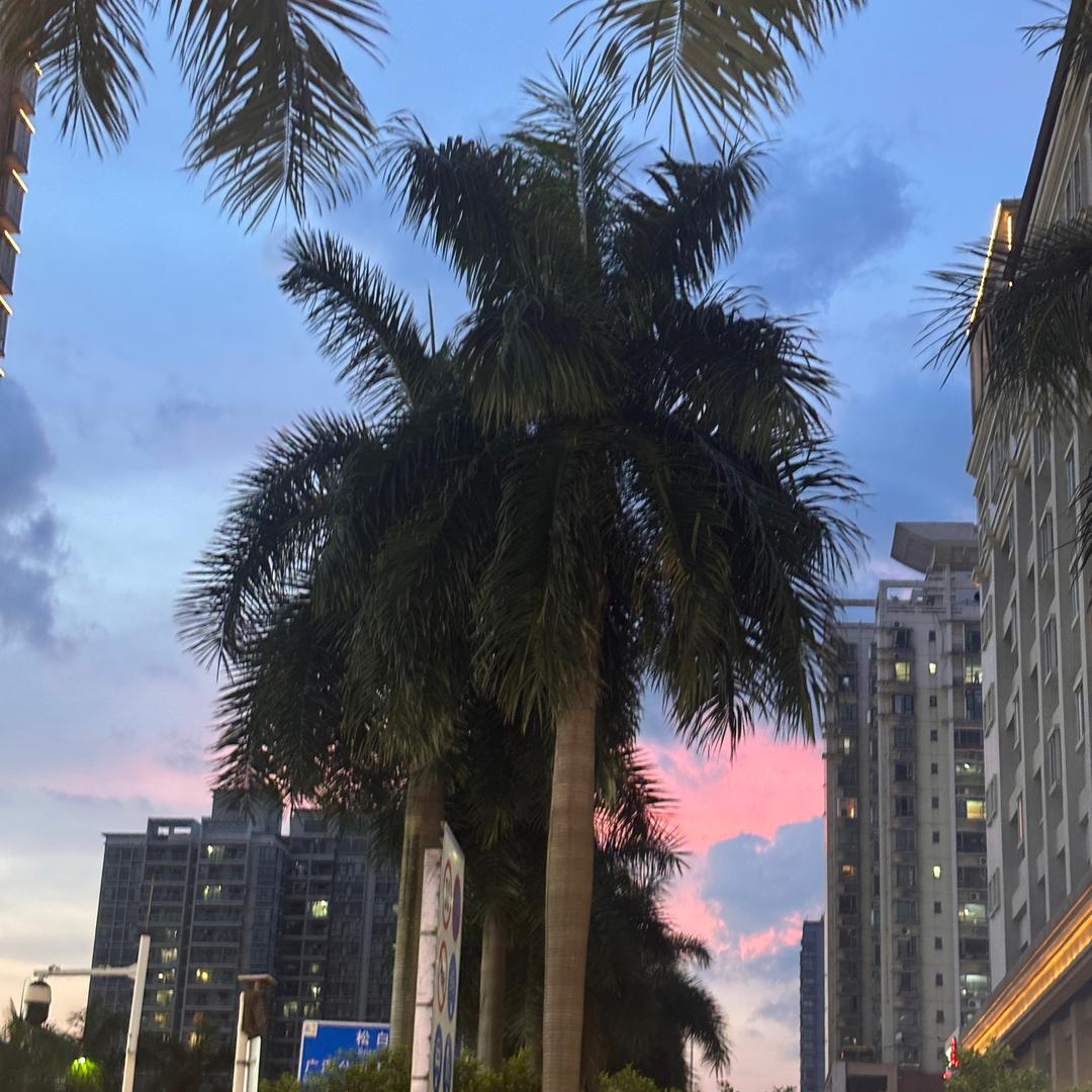 奈施