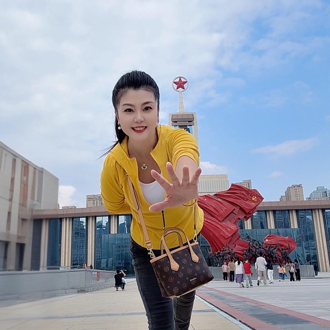 石家庄二丫旅游服务有限公司