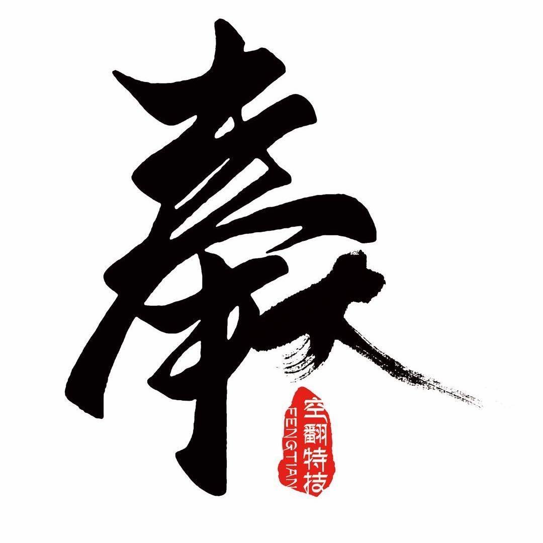 奉天空翻特技学院