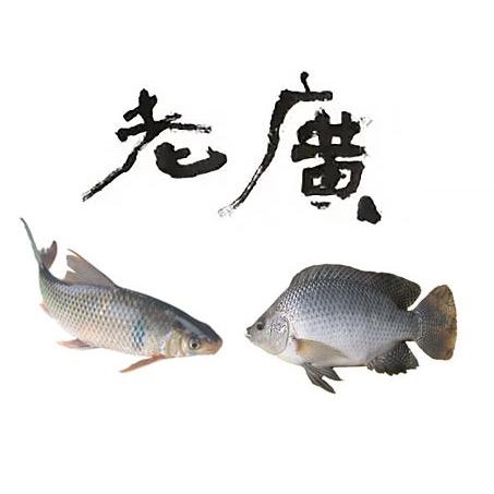 老广的渔具