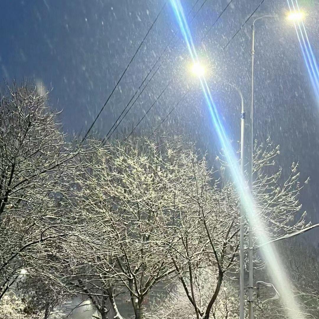 @姐的世界你不懂❤️