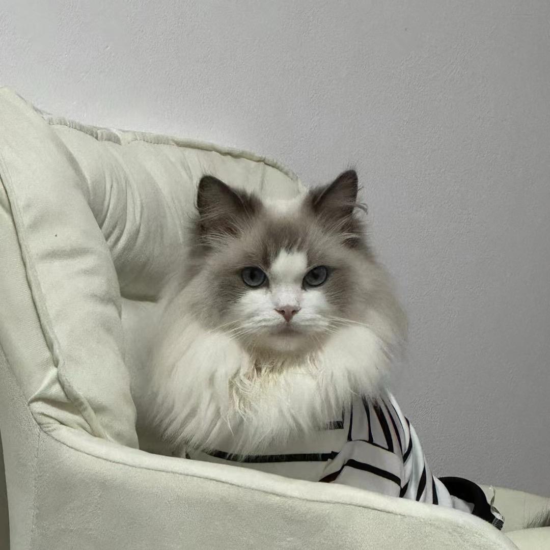 四十里长冲梦川电脑绣花