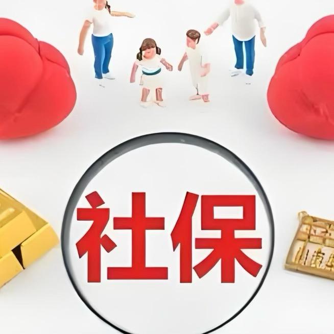 社保规划刘老师