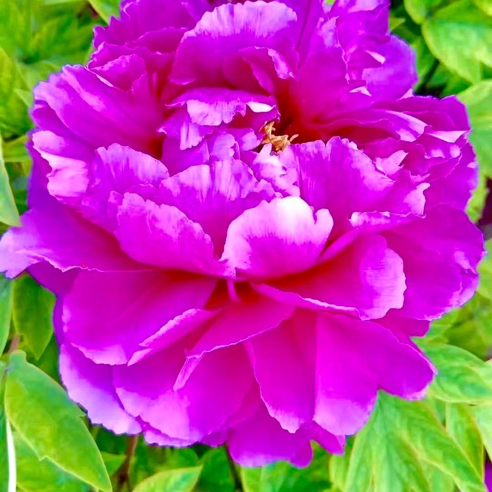 好人一生平安👄