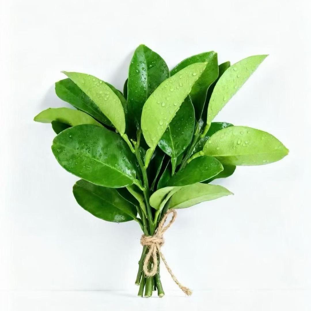 ℳ̶̶欭♡̶҉惗ℳღ