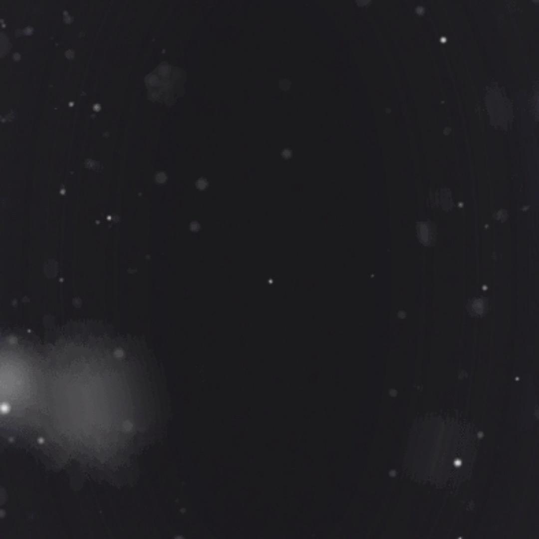 勇敢的骑士fffff