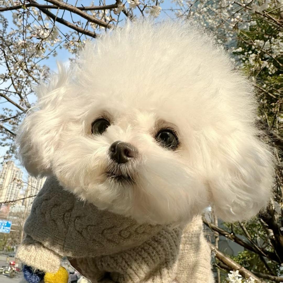 不吃辣椒