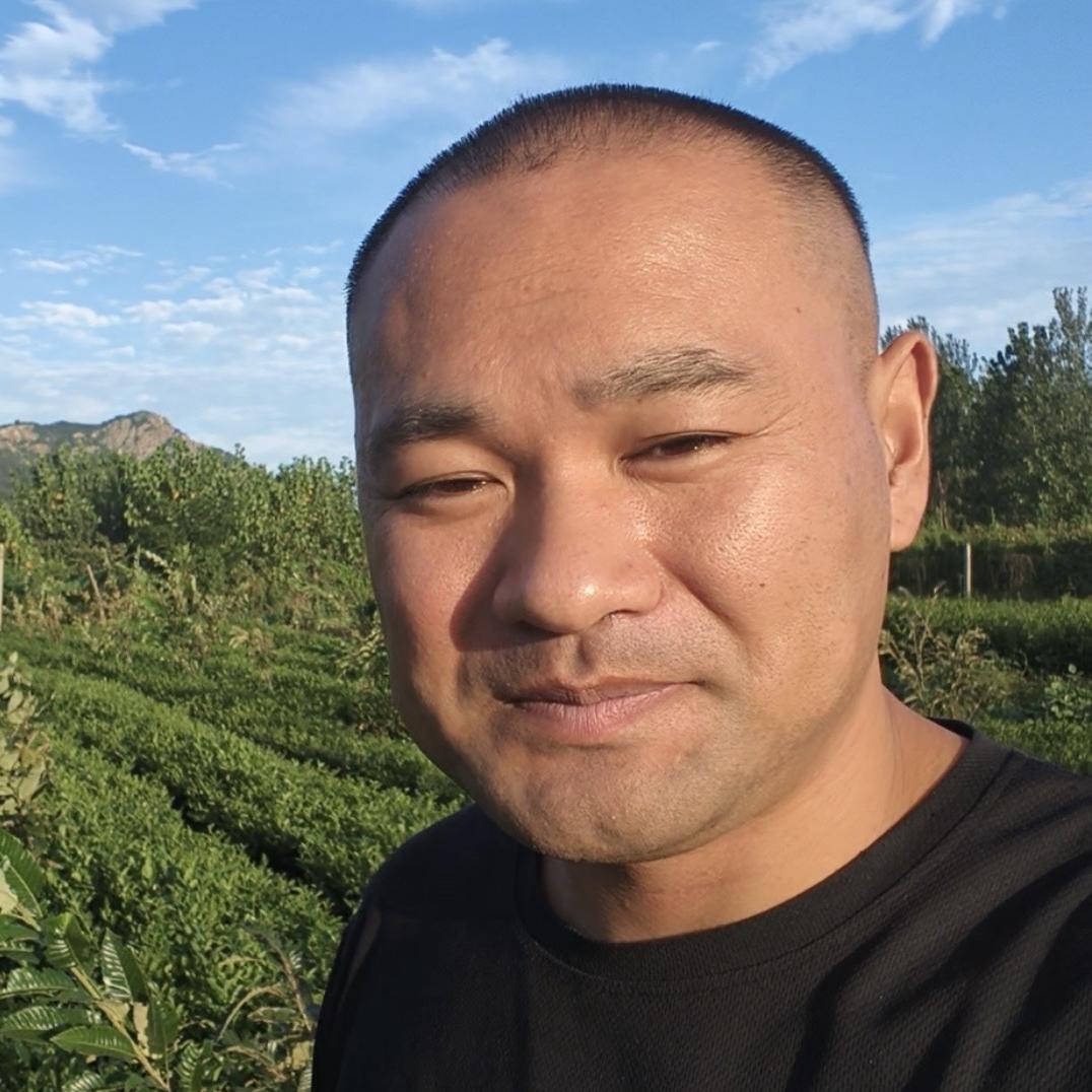 日照绿茶焦见德日照市聚源春茶厂