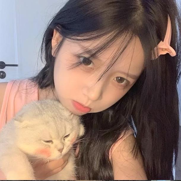 香菜大王🌟